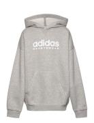 Adidas Sportswear Fleece Hoodie Kids Grå