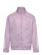 FILA Benavente Track Jacket Rosa