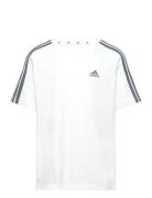 Adidas Performance G 3S Bf T Vit