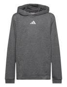 Adidas Performance J Hea Hoodie Grå