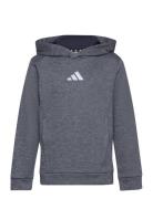 Adidas Performance J Hea Hoodie Grå