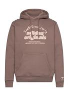 Adidas Originals Grf Hoodie Brun