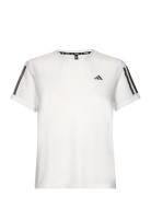 Adidas Performance Otr B Tee Vit