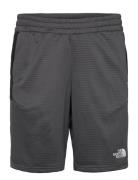 The North Face M Ma Fleece Short Grå