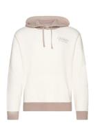 Hollister Hco. Guys Sweatshirts Vit