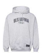 BLS Hafnia Backstage College Hoodie Grå