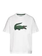 Lacoste Tee-Shirt&Turtle Vit