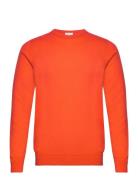 Davida Cashmere Man O-Neck Plain Orange