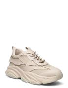 Steve Madden Possess Sneaker Beige