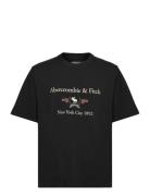 Abercrombie & Fitch Anf Mens Graphics Svart