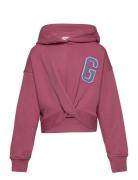 GANT Twisted Sweat Hoodie Rosa