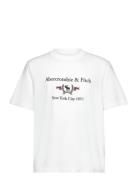 Abercrombie & Fitch Anf Mens Graphics Vit