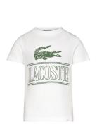 Lacoste Tee-Shirt&Turtle Vit