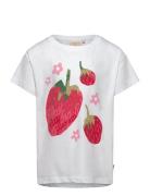 Ma-ia Family Fragola T-Shirt Multi/patterned