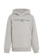 Tommy Hilfiger Essential Hoodie Grå