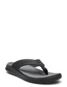 Skechers Mens Sargo Sandal - Sunview Svart