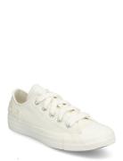 Converse Chuck Taylor All Star Vit