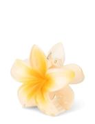 SUI AVA Plumeria Hawaii Big Gul