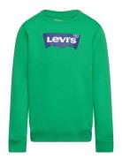 Levi's Levi's® Batwing Crewneck Sweatshirt Grön