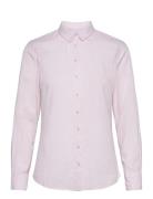 Fransa Frzaoxford 1 Shirt Rosa