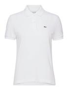 Lacoste Polos Vit