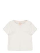 Copenhagen Colors Rib Jersey T-Shirt Kräm