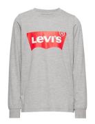 Levi's Levi's® Long Sleeve Graphic Tee Shirt Grå