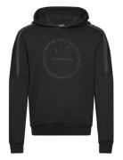 EA7 Sweatshirts Svart