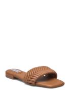 Steve Madden Allure Sandal Brun