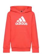 Adidas Sportswear U Bl Hoodie Röd