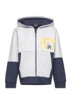 LEGO Kidswear Lwscout 204 - Sweatshirt Blå