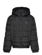 GANT Shield Padded Jacket Svart