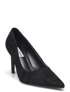 Steve Madden Prophecy Pump Svart