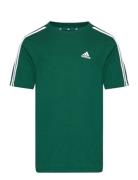 Adidas Sportswear U 3S Tee Grön