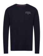 Tommy Hilfiger Ls Tee Logo Marinblå