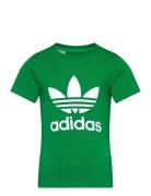 Adidas Originals Trefoil Tee Grön