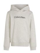 Calvin Klein Inst. Logo Reg. Terry Hoodie Grå