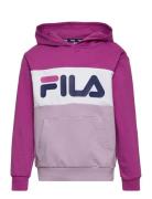 FILA Bagana Blocked Hoody Rosa