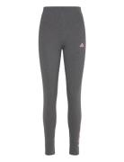 Adidas Sportswear Essentials High Waist Logo Leggings Grå