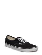 VANS Ua Authentic Svart