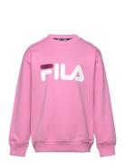 FILA Babina Greda Rosa