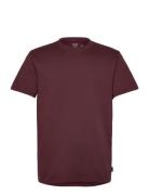 Hollister Hco. Guys Knits Burgundy