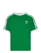 Adidas Originals 3Stripes Tee Grön