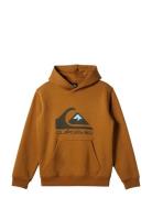 Quiksilver Big Logo Hoodie Youth Brun