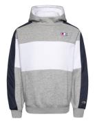 Champion Hooded Sweatshirt Grå