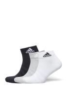 Adidas Performance T Spw Ank 3P Multi/patterned