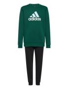 Adidas Sportswear J Bl Fl Ts Grön