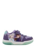 Frost Frozen Sneaker Lila