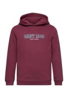 GANT Gant 1949 Hoodie Burgundy