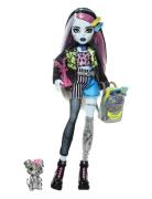Monster High Frankie Stein Fashion Doll With Pet Watzie And Accessorie...
